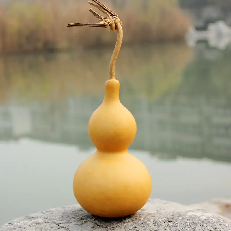 宝葫芦网络科技