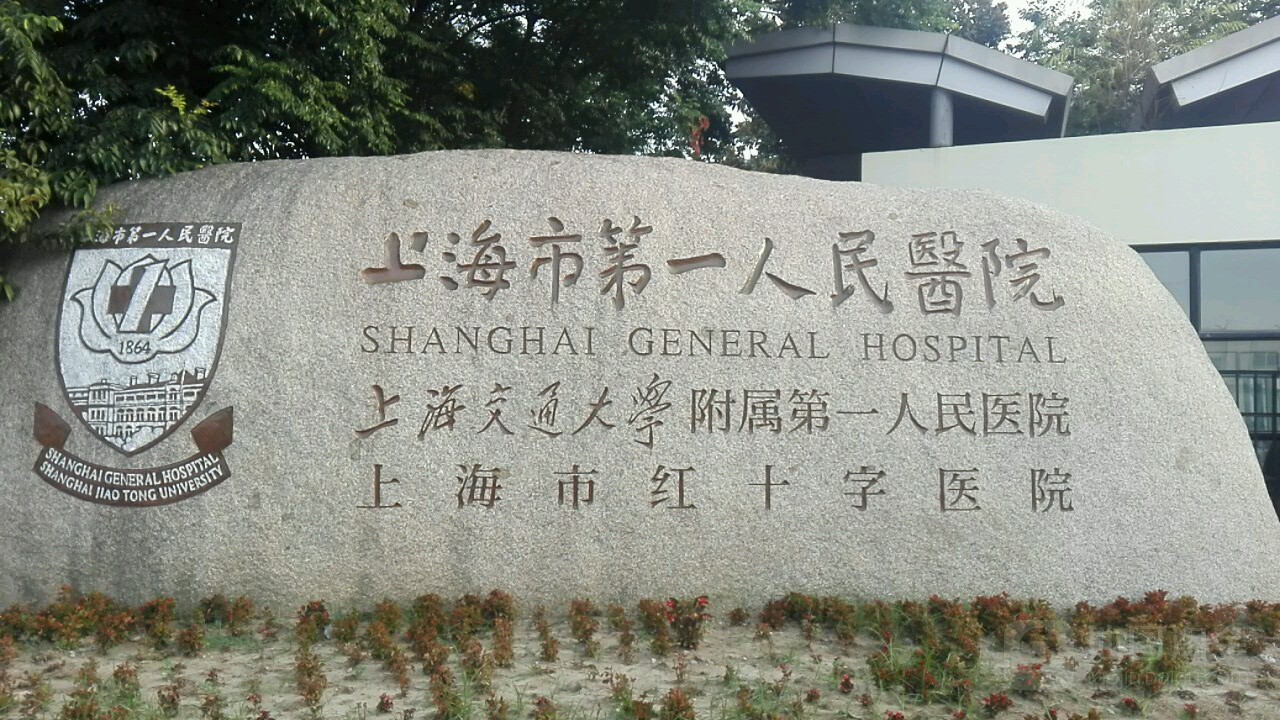 第一人民医院松江南院(医联)