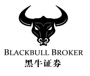 黑牛证券LOGO 黑牛证券LOGO