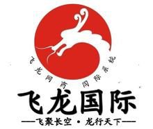 金日科技