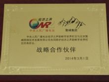 聚峰网络技术发展