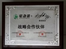 聚峰网络技术发展