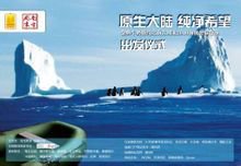 新天明创广告