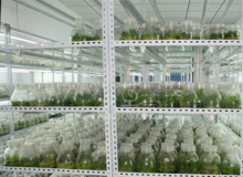汉草荟生物科技