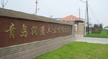杜村镇