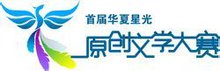 华夏星光网络科技