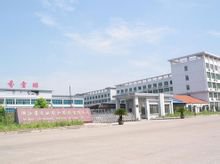 芬雪琳针织服饰