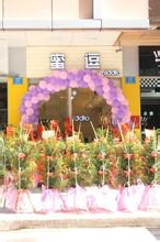 蜜逗