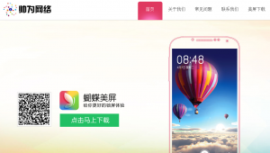 帅为网络