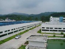 三友兄弟生物技术