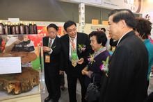 沣芝生物科技