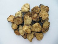 药材公司中药饮片厂