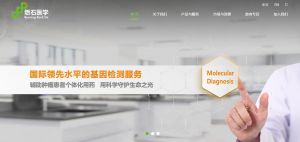 燃石医学-燃石生物 燃石医学-燃石生物