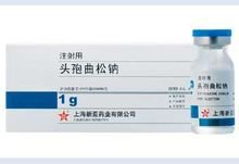 新亚药业