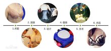 医科大学《家庭医生》整形美容医院