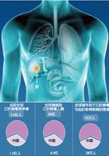 疾病宝宝
