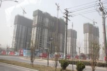 上林风景