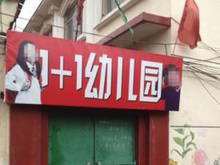 段丽芹