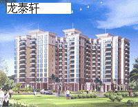 龙泰轩