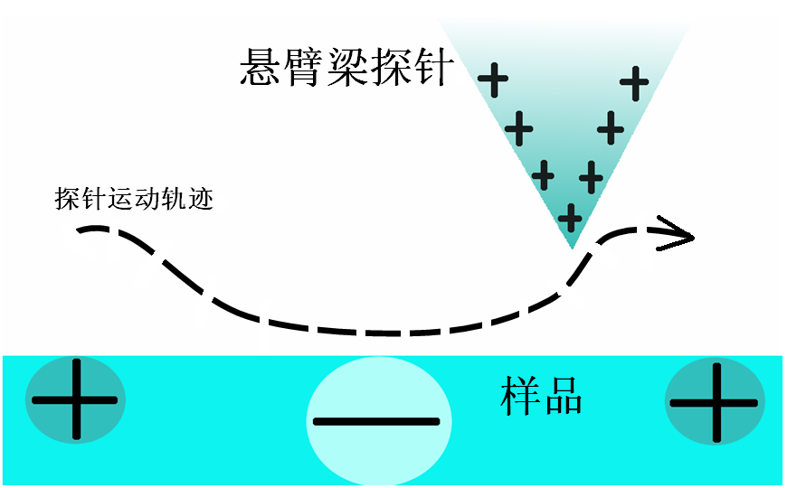 静电力显微镜