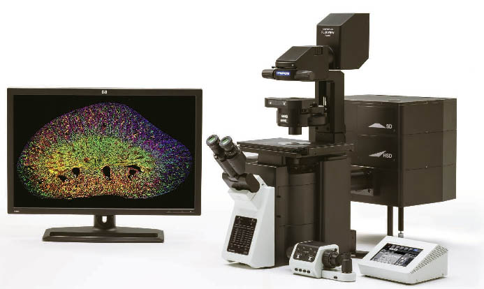 扫描共聚焦电子显微镜
