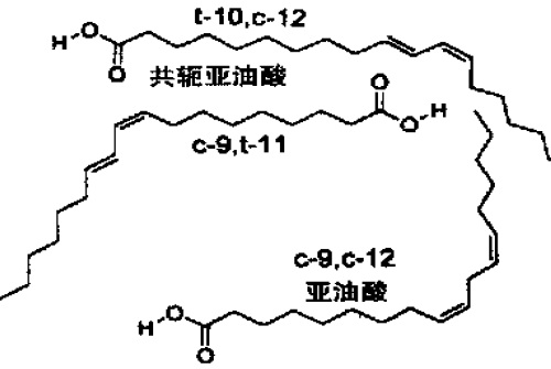 共轭亚油酸