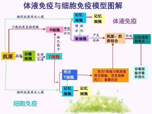 博富瑞 北京博富瑞基因诊断技术有限公司