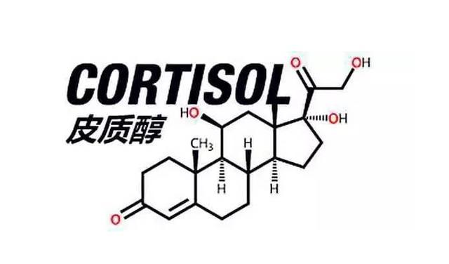 皮质醇