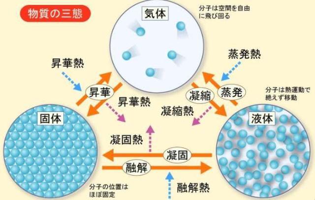 分子固体