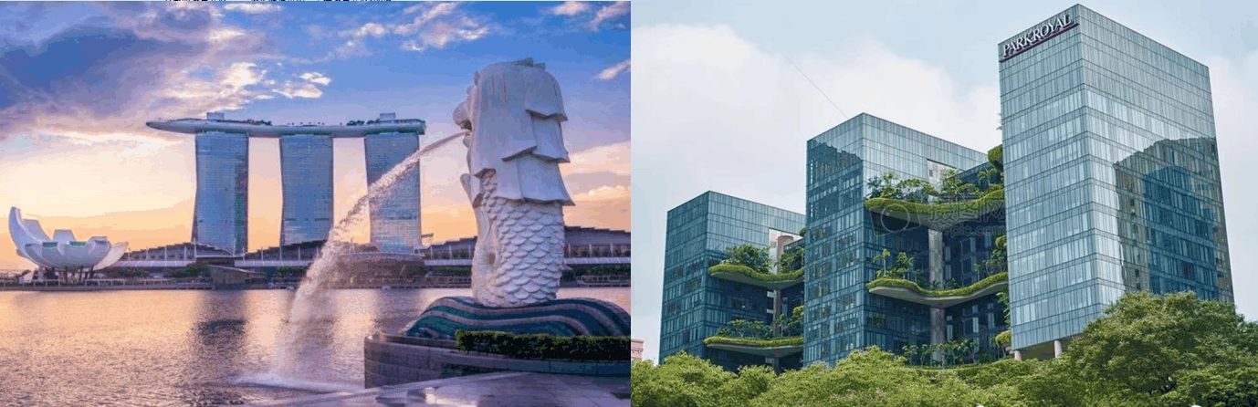 新加坡颐美纪医疗美容服务有限公司