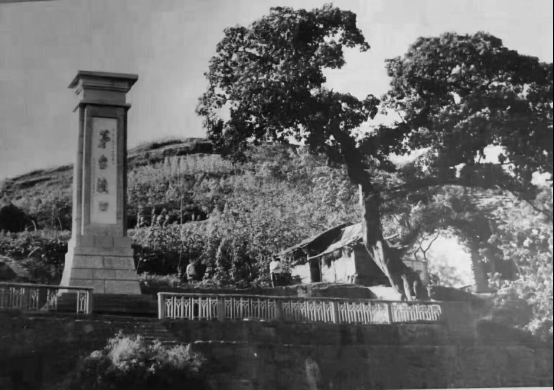 赵政久(酒坊创始人)