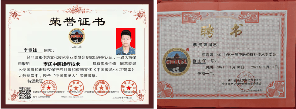 李贵锋(李氏中医蜂疗技术传承人)