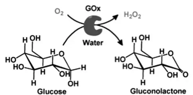 莱希施泰因工艺