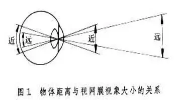 大小知觉