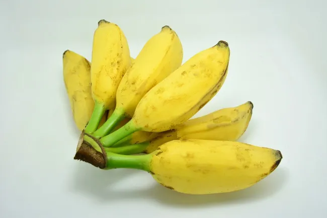大蕉