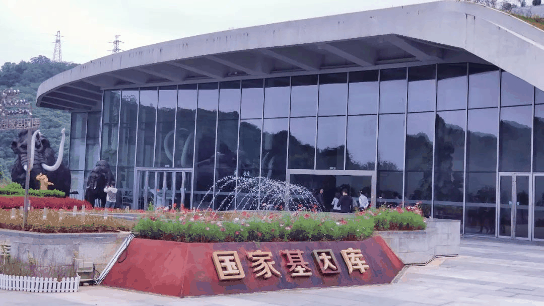 中国国家基因库