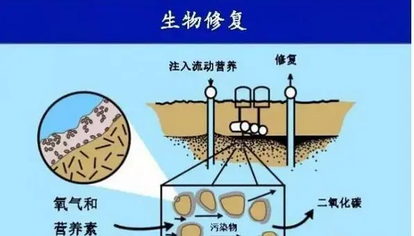 土壤微生物学