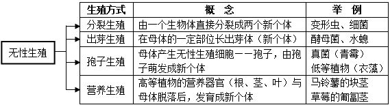 有性生殖的演化