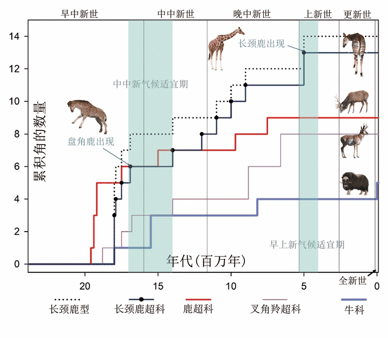 演化动物群