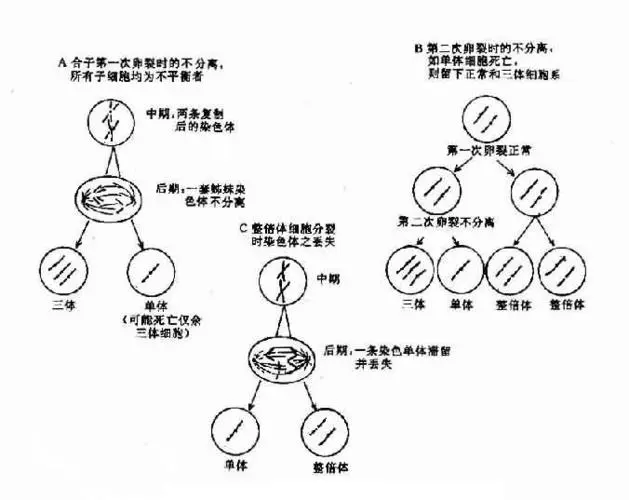 遗传学