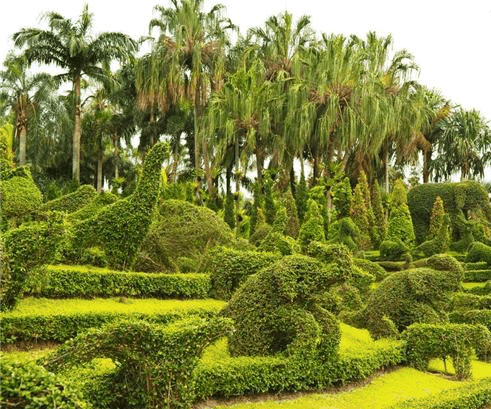 地中海森林、疏林和灌丛