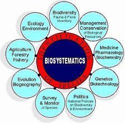 系统生物学标记语言