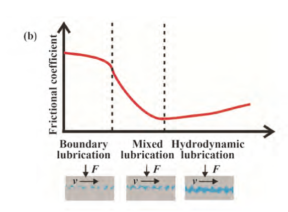 斯特里贝克曲线
