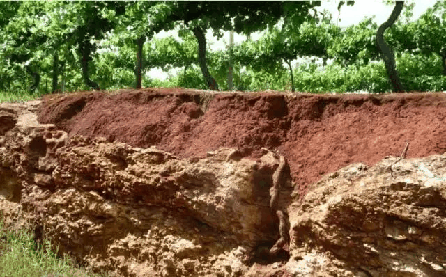 土壤结构