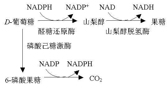 醇脱氢酶