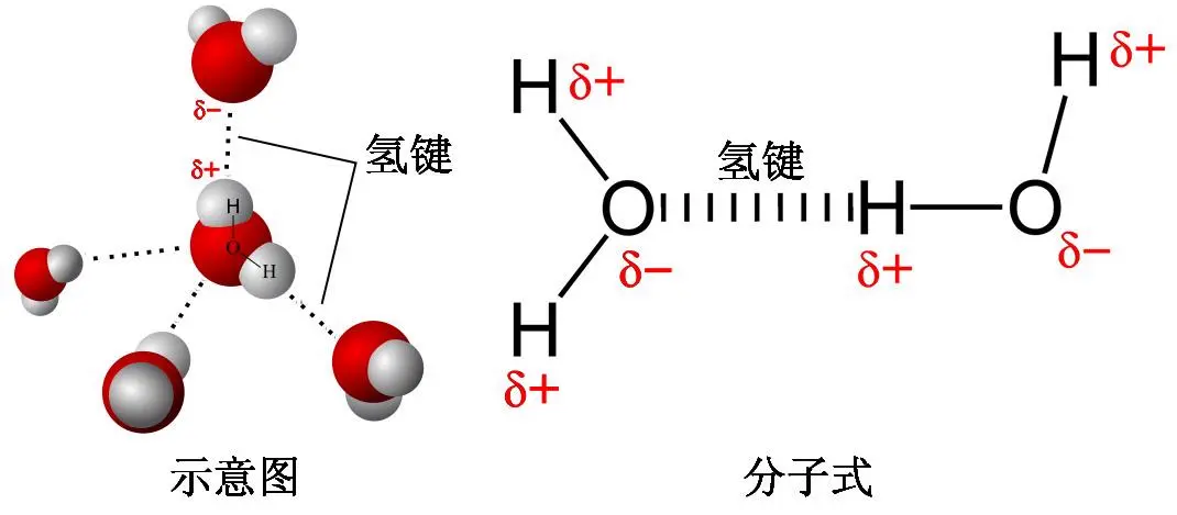 碳-氢键