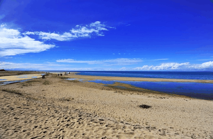 青海湖