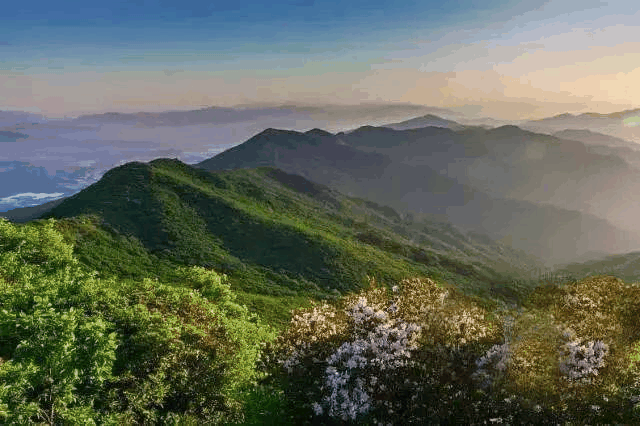 龙山国家森林公园