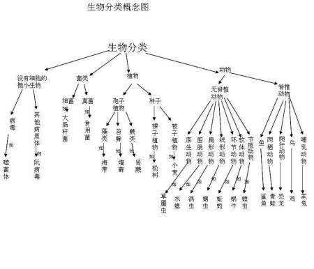 生物分类