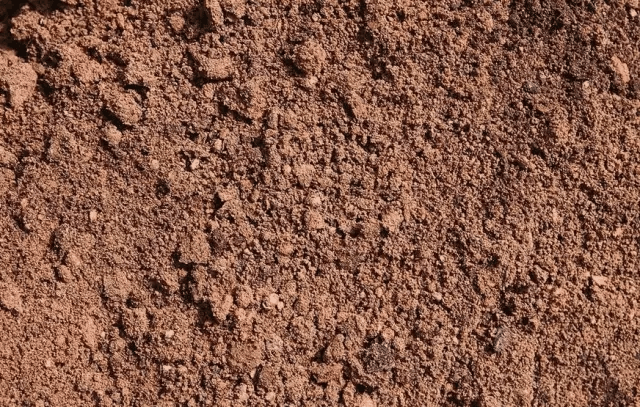 土壤类型